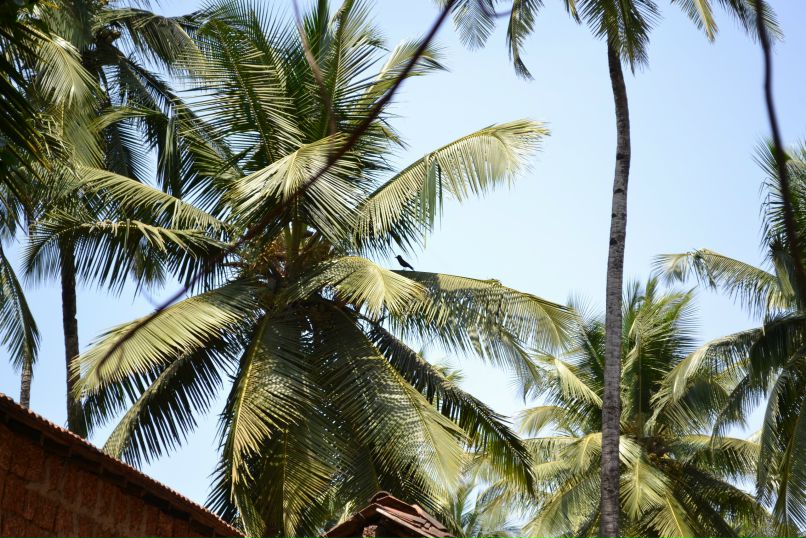 Ксения Циркуль | Bandung