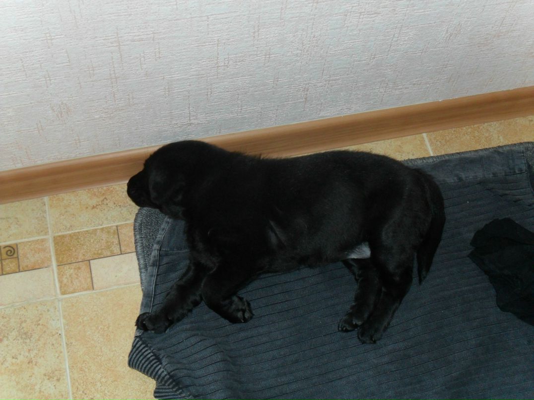 Света Мещерякова | Москва