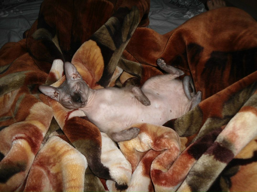 Наталья Ветрогон | Москва