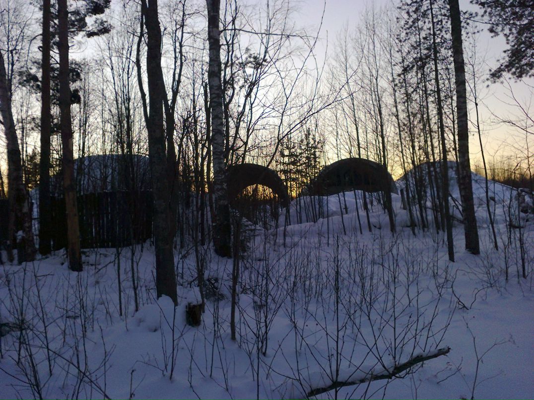 Антон Меркульев <fenix_4> | Пикалево