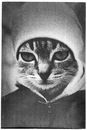 Фотография Бидеева Дмитрия