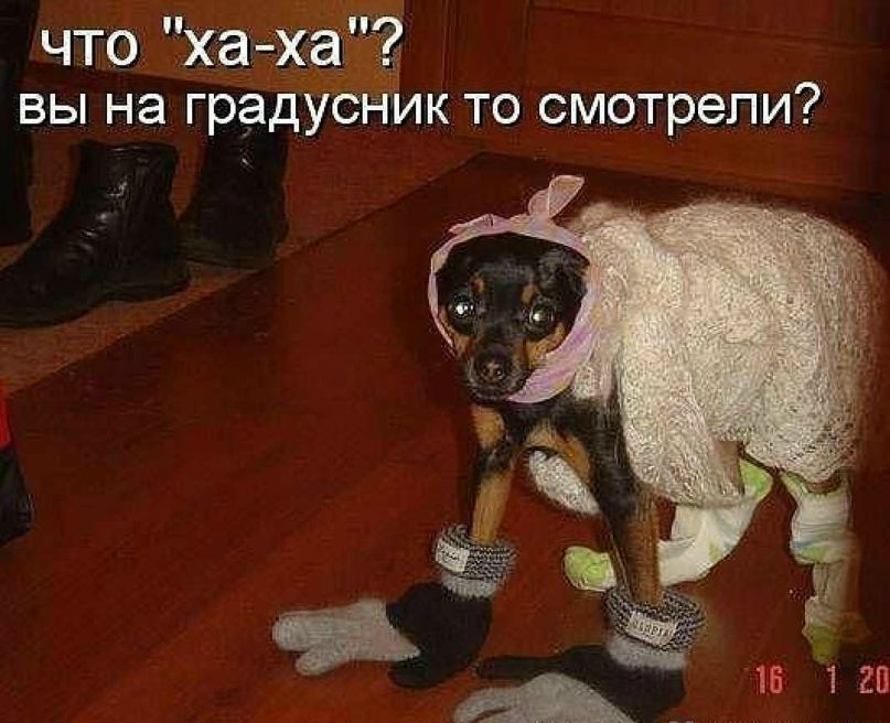 Татьяна Шатрова | Москва