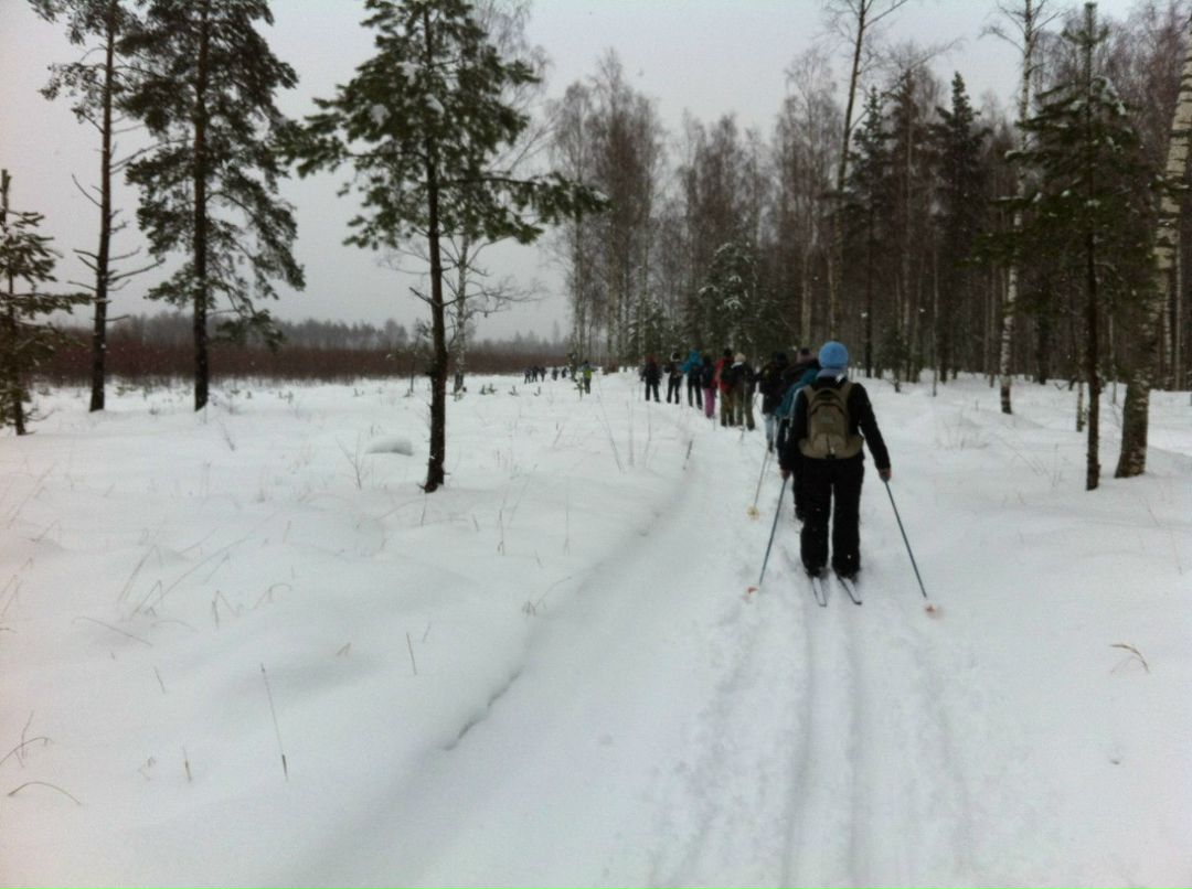 Ярослав Ягель | Санкт-Петербург