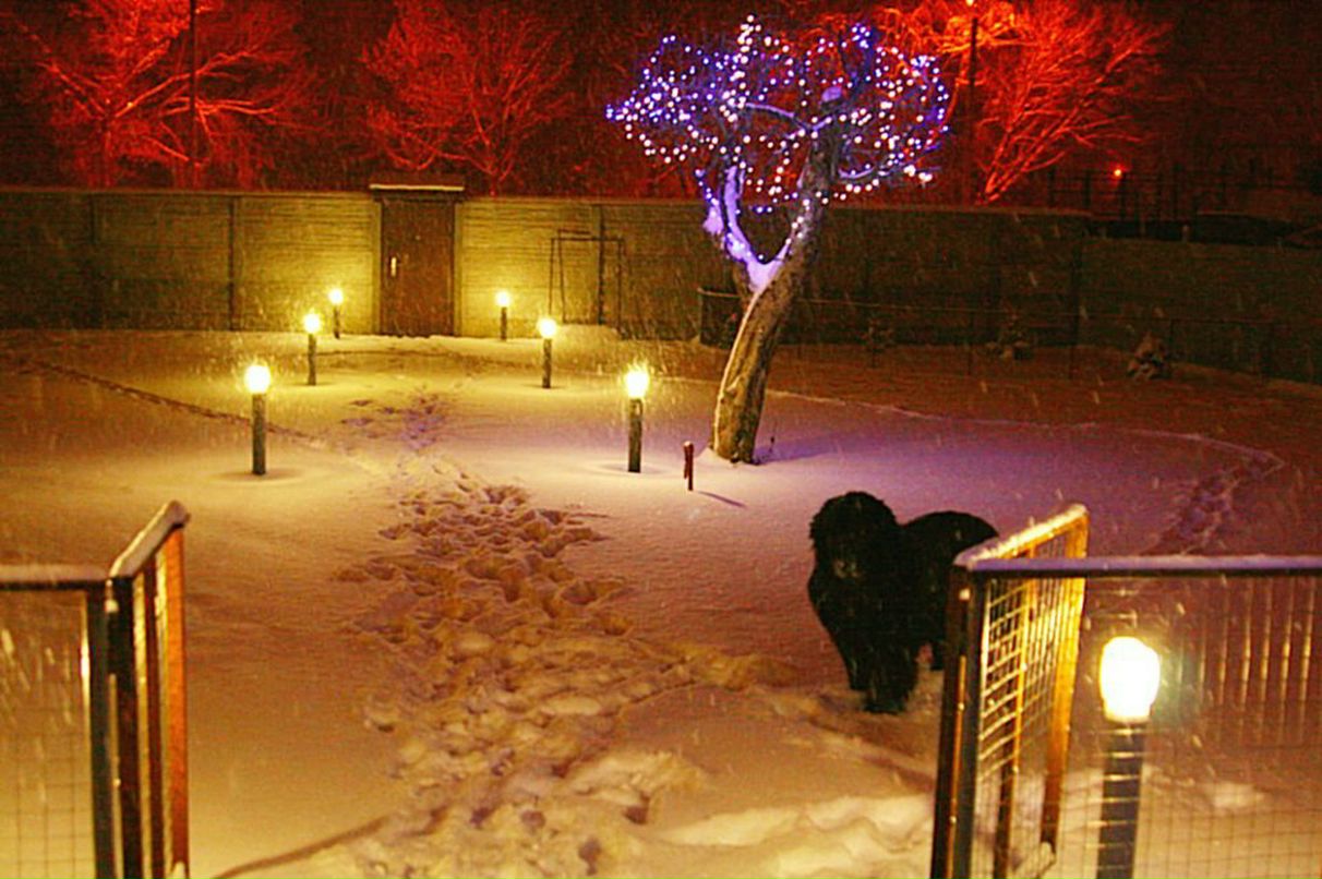 Татьяна Сидорова | Харьков