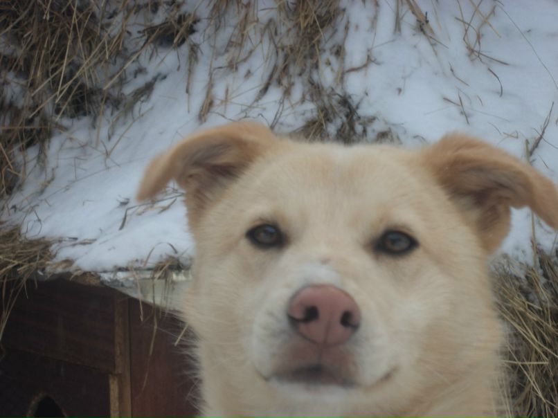 Анна Белотелова | Балаково