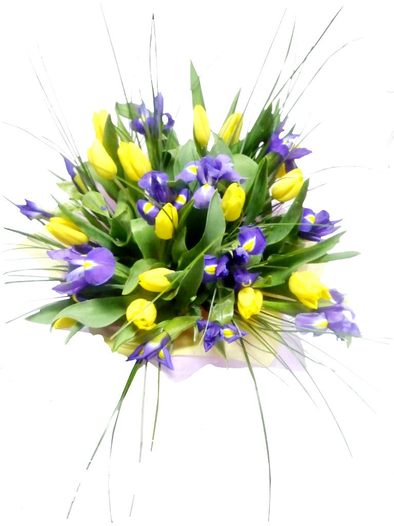 Клим Летов Rastaone | Москва