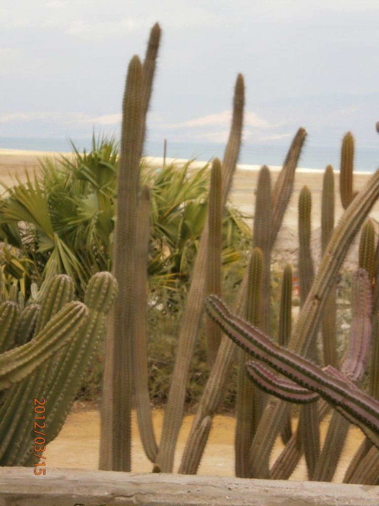 Татьяна Кириличева | Санкт-Петербург