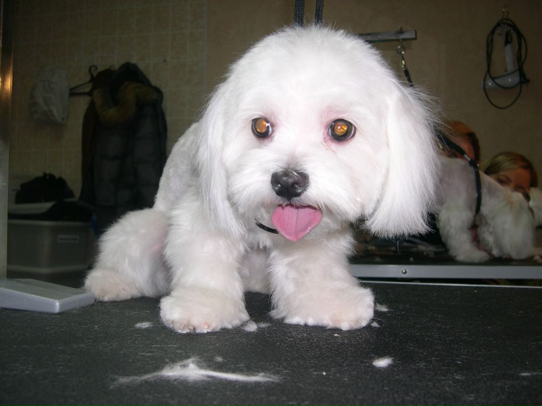 Светлана Орлова | Тула