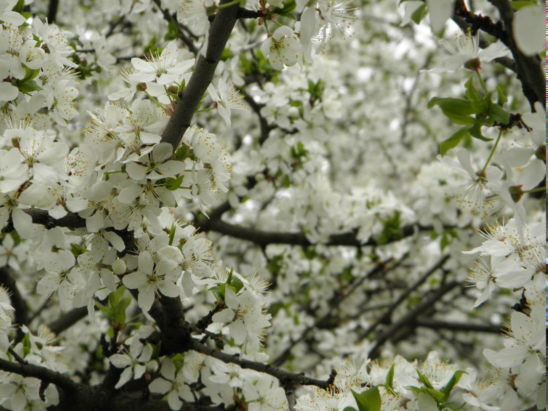 Артур Вовк | Донецк