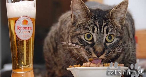 №10, Андреи Подопригора, Уфа №10, Андреи Подопригора, Уфа