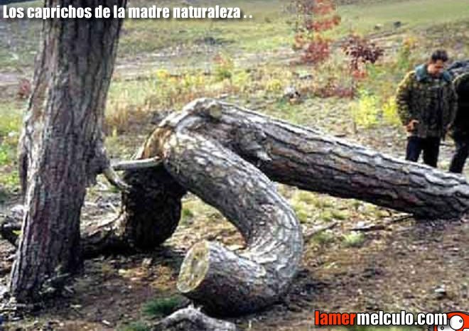 Денис Шаталов | Елец