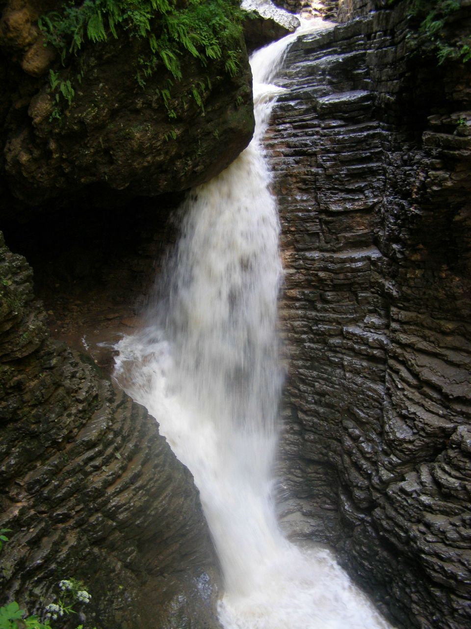 Татьяна Ильенко | Екатеринбург