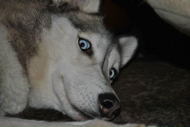 Богдан Яцкоборовський | Ровно