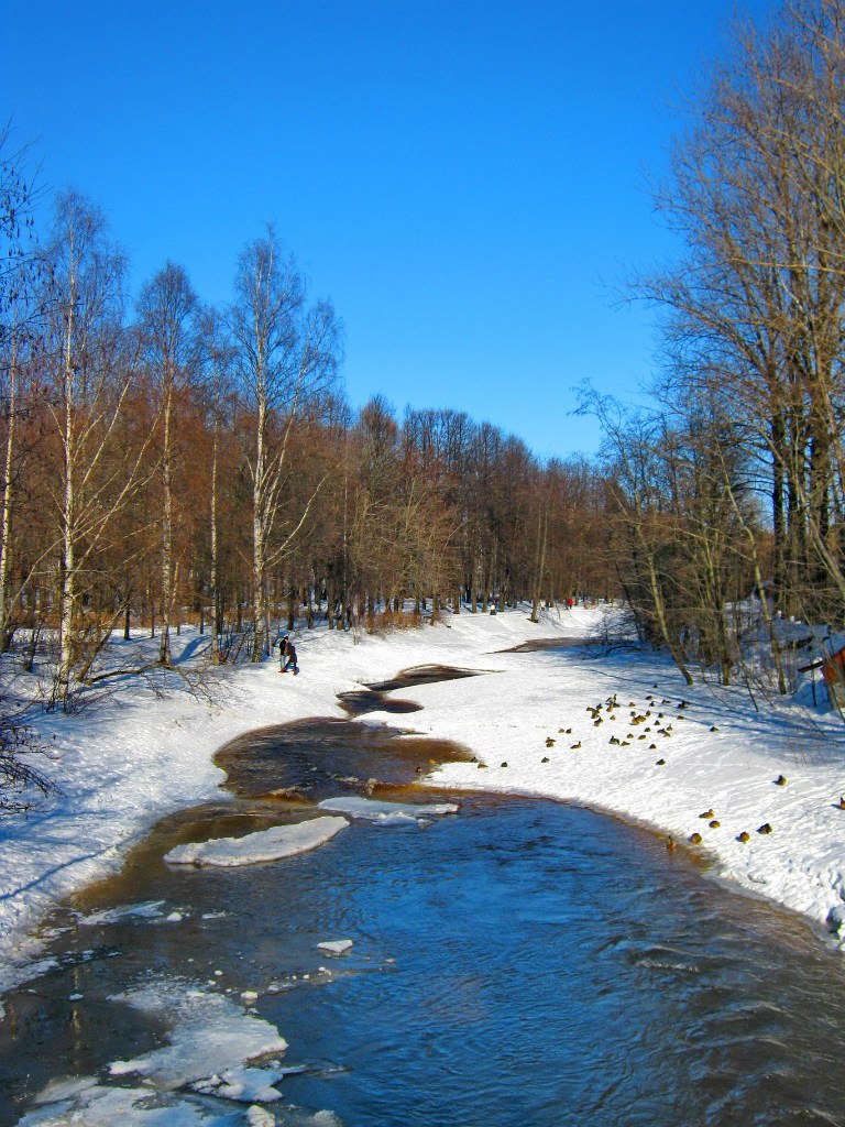 Сергей Иванов SI | Петрозаводск