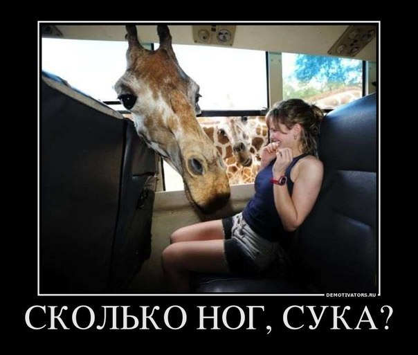 №92, Анастасия Цой, Херсон №92, Анастасия Цой, Херсон