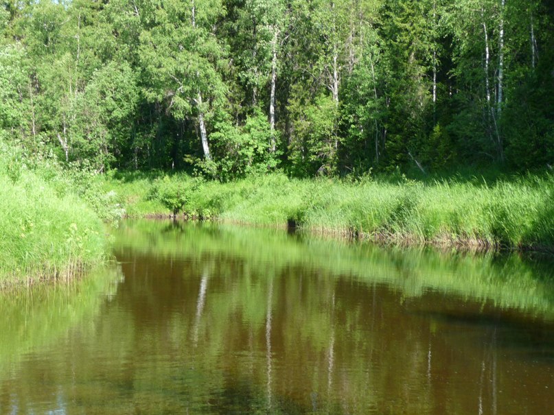 Сергей Мазин | Архангельск