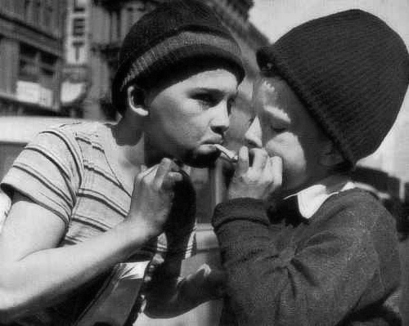 Андрей Павловський | Винница