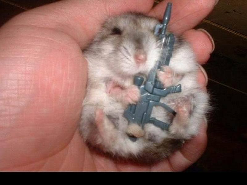 Саша Стерхов | 