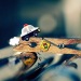 Полина Олейникова фотография #28