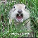 Нияз Сабирзянов <**SaNi**> | Кукча