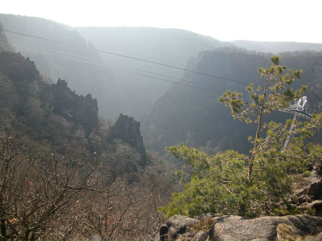 Олеся Масликевич | Калуш