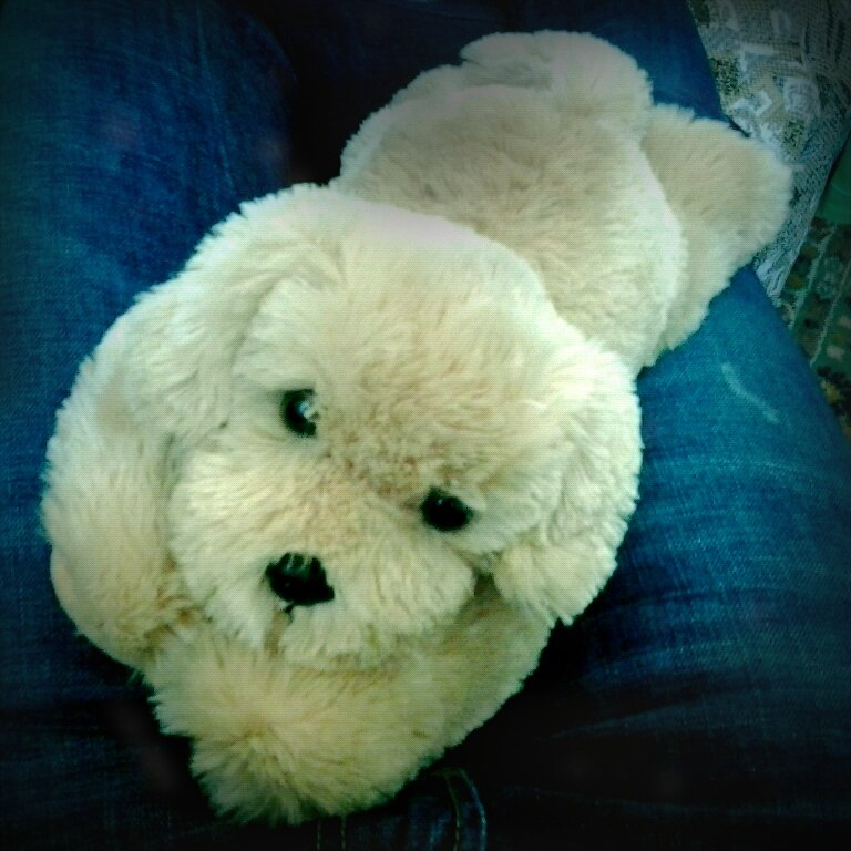 Ирина Климец | Тюмень