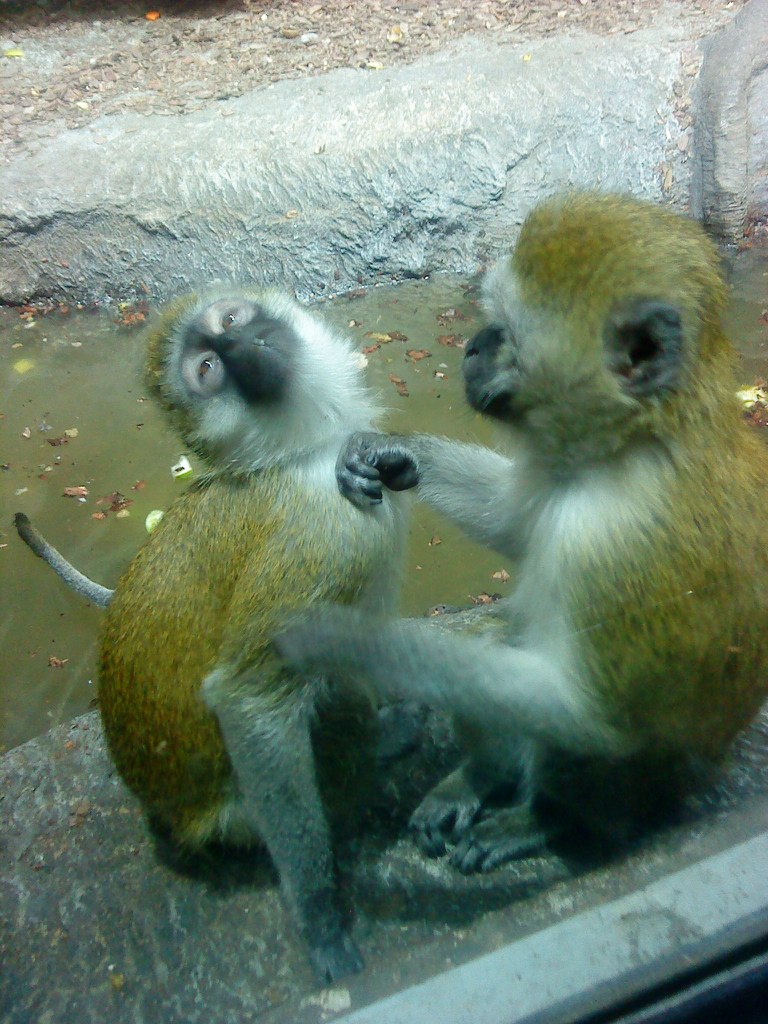 Татьяна Баранихина | Москва