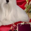 №36, Наталья Раджабова, 52 года, Беломорск №36, Наталья Раджабова, 52 года, Беломорск