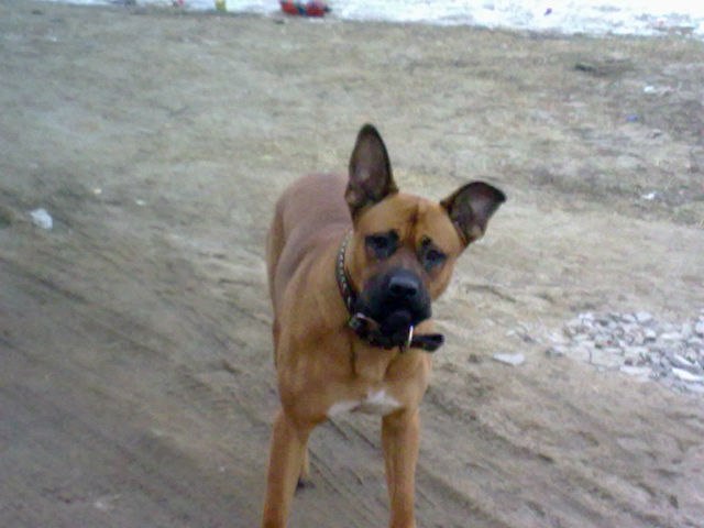 Наталья Кузнецова | Брянск