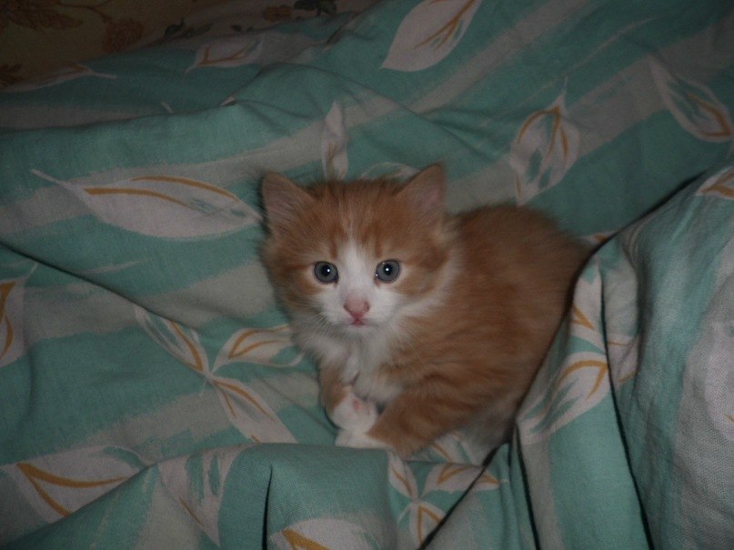 Татьяна Усольцева LILA | Гомель