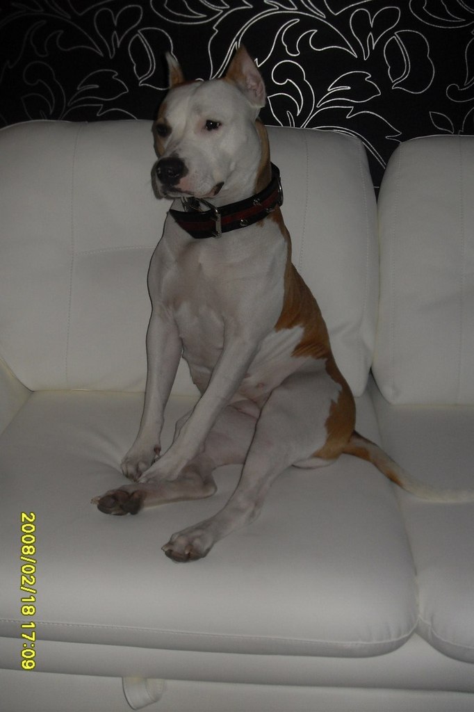 Анна Смородина | Санкт-Петербург