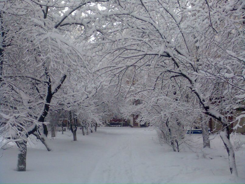 Виталий Очеретяный | 