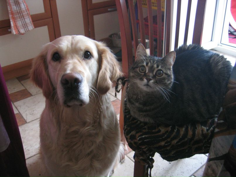 Дмитрий Чернышёв | Москва