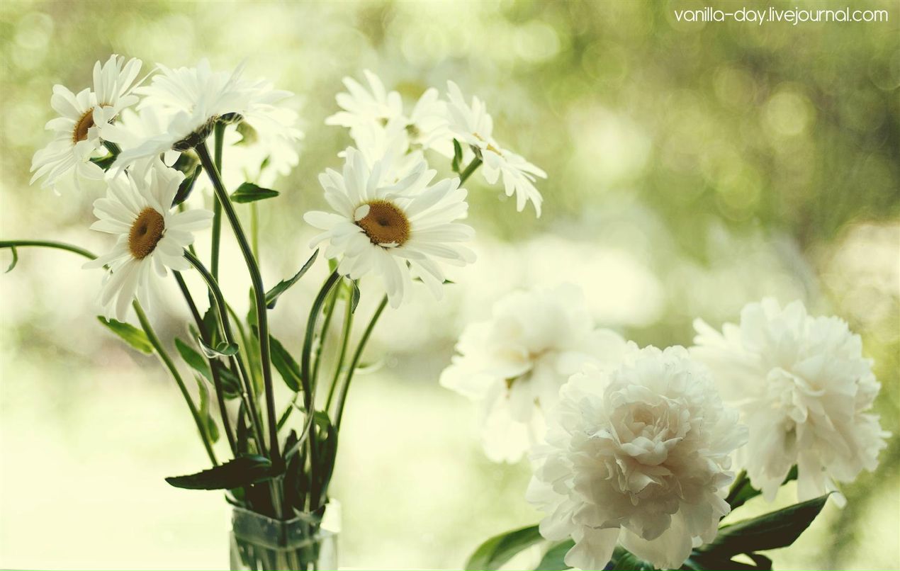 Аня Маленко | Киев