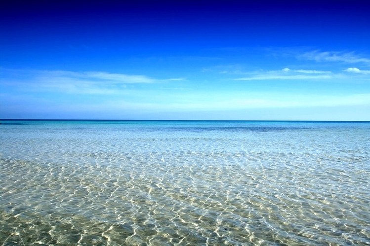 Майя Ляхова ヅ | Тула