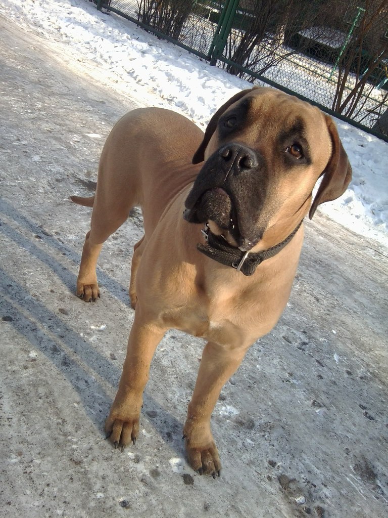 Дима Криворчук | Запорожье