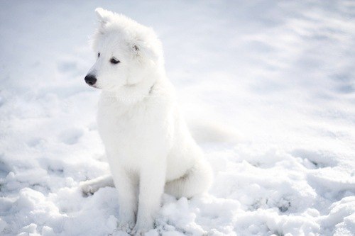 Алеся Ганжа | Киев