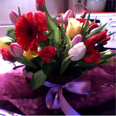 Елена Измайлова | Hamburg