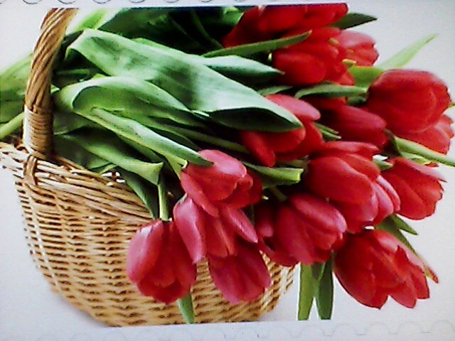 Ирина Кузьменко | Киев