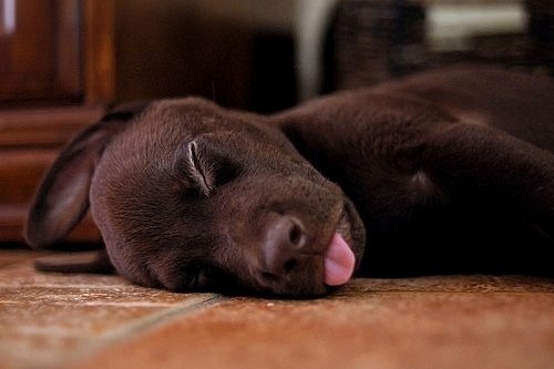 №13, Анастасія Похольченко, Винница №13, Анастасія Похольченко, Винница