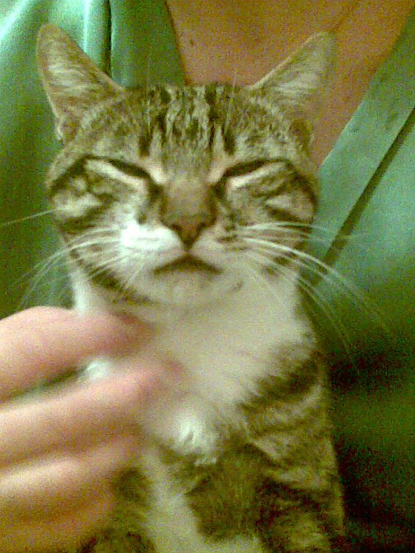 Сергей Щербинин | Краснодар