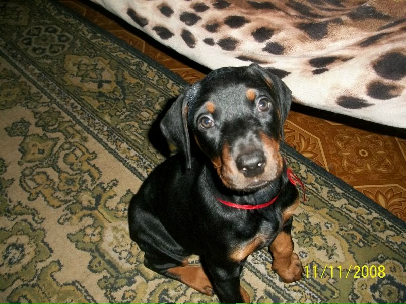 Алёнчик Апостолова ~E_N_E_R_G_Y_~. | Кривой Рог