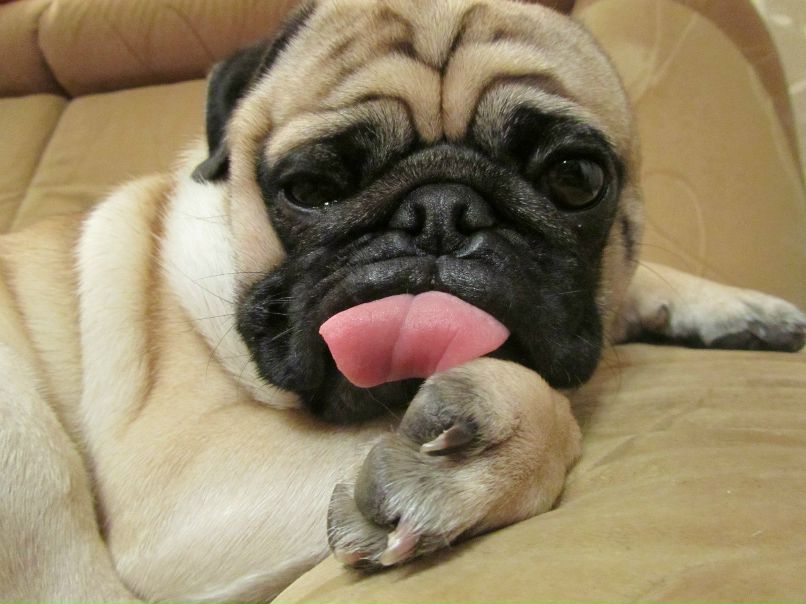 Марина Смирнова | Петрозаводск