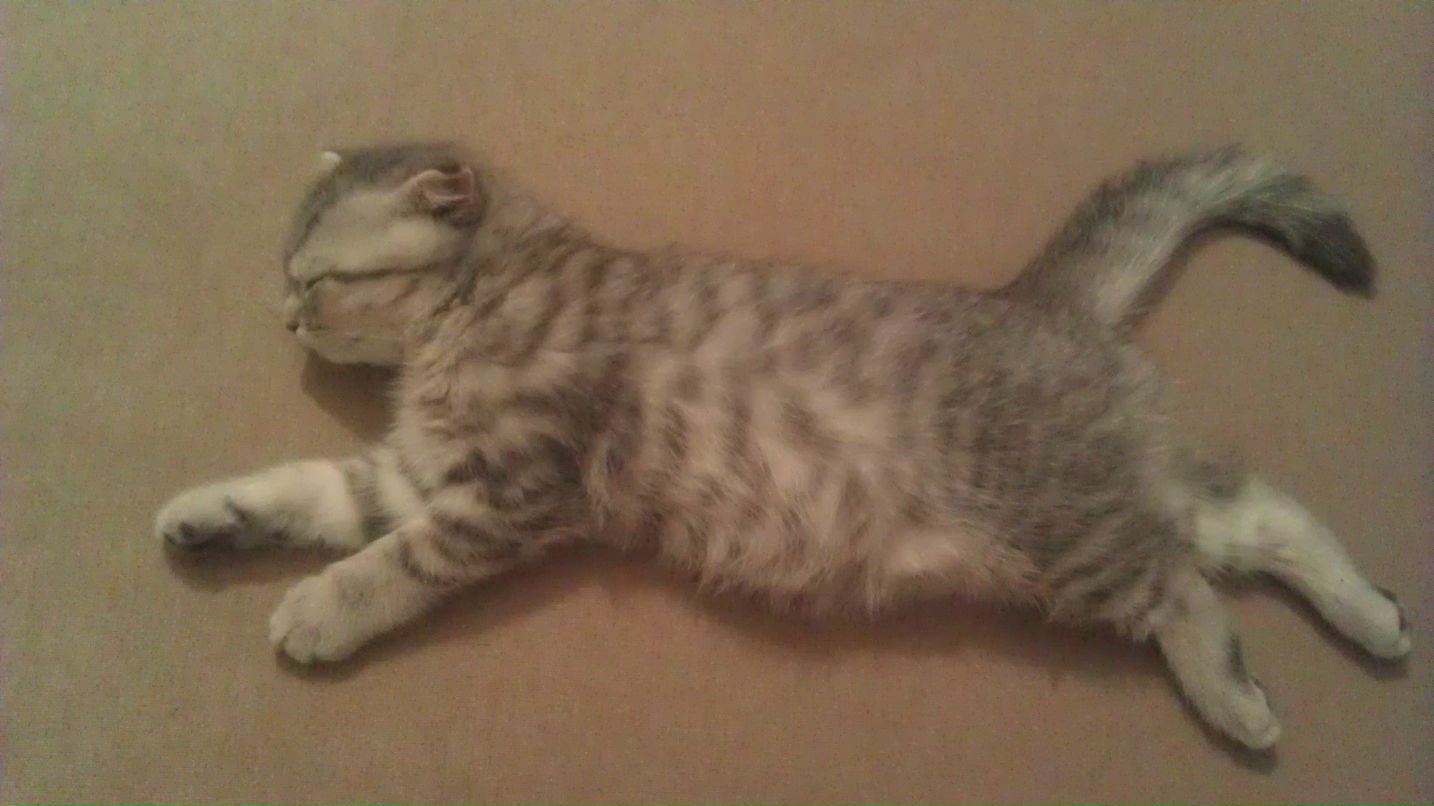 Vella Mur La | Пермь