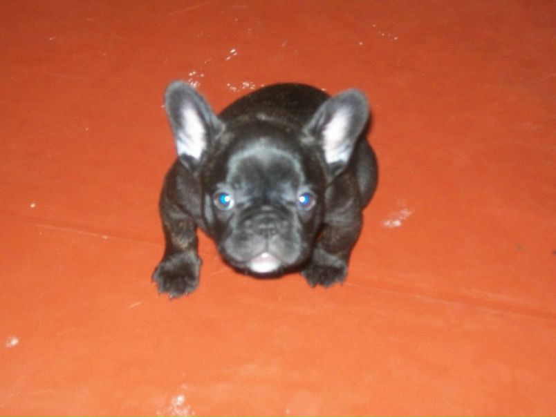 №27, Михаил Прохоров, 46 лет, Харьков №27, Михаил Прохоров, 46 лет, Харьков