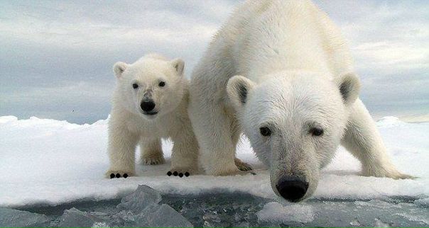 №73, Карина Можаева, 27 лет, Севастополь №73, Карина Можаева, 27 лет, Севастополь