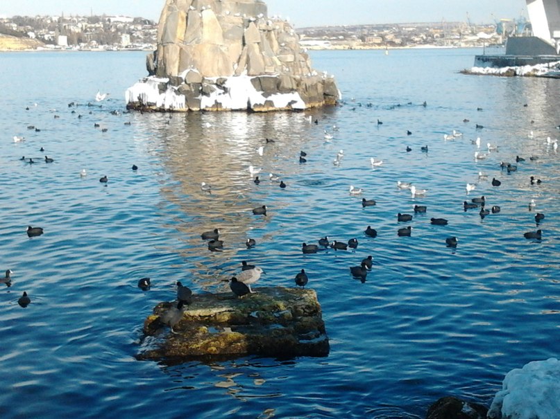 Юрий Минаев | Челябинск