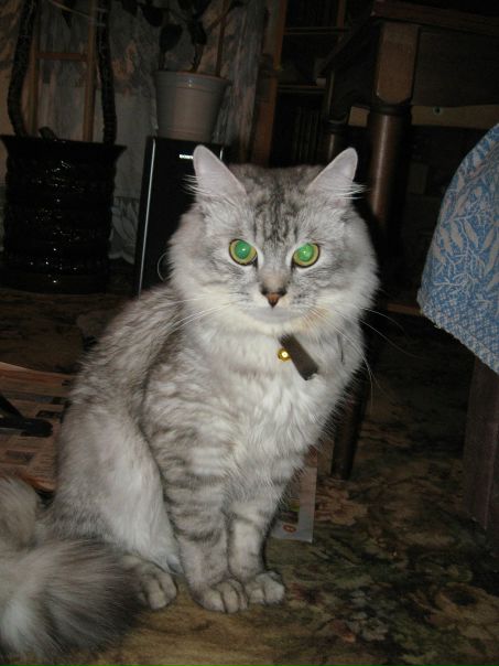 №10, Влад Колосов №10, Влад Колосов