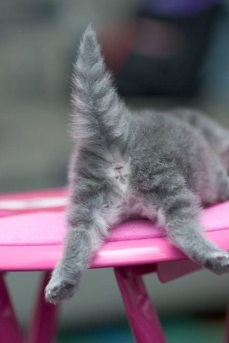 Анастасия Кочеткова | 