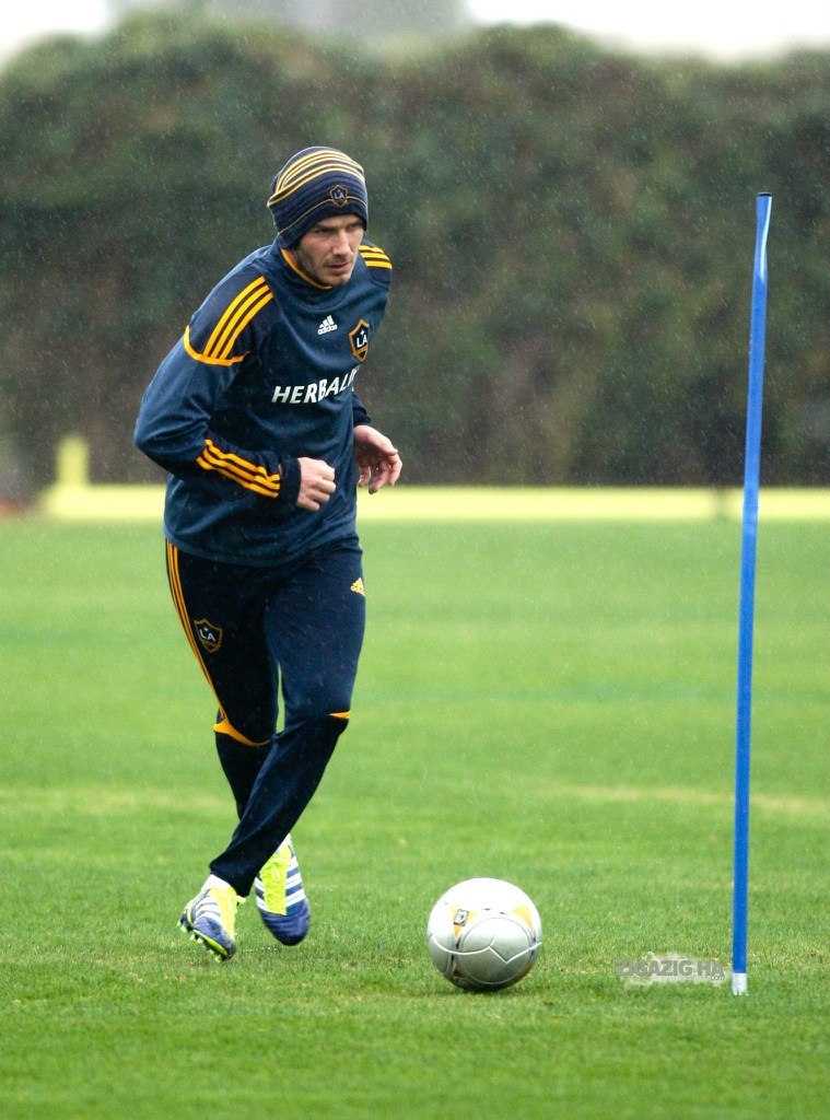 Нікіта Нікітюк | 